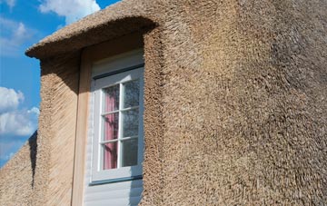 Cores End thatch roof disadvantages
